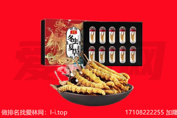 佳县回收虫草.jpg
